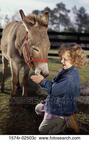 Side profile of a girl feeding a donkey View Large Photo Image Stock Image - Side profile of a girl feeding a donkey. Fotosearch