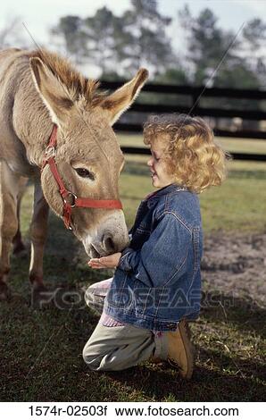 Side profile of a girl feeding a donkey View Large Photo Image Stock Image - Side profile of a girl feeding a donkey. Fotosearch