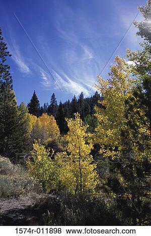 Stock Photo - Sierra Nevada Mountains Tahoe National Forest California USA. Fotosearch