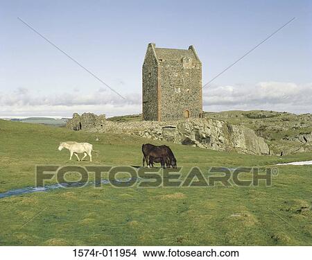 Smailholm Tower Near Kelso Scotland View Large Photo Image Picture - Smailholm Tower Near Kelso Scotland. Fotosearch