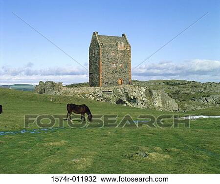 Stock Image - Smailholm Tower Scotland. Fotosearch