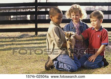 Three children holding a goat View Large Photo Image Stock Image - Three children holding a goat. Fotosearch