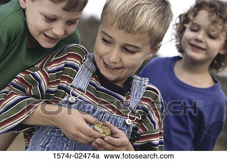 Two boys and a girl holding a frog View Large Photo Image Stock Image - Two boys and a girl holding a frog. Fotosearch