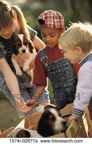 Two boys and a girl playing with puppies View Large Photo Image Stock Image - Two boys and a girl playing with puppies. Fotosearch