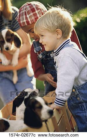 Two boys and a girl playing with puppies View Large Photo Image Stock Image - Two boys and a girl playing with puppies. Fotosearch