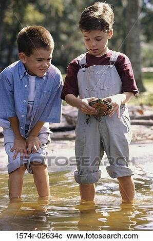 Stock Image - Two boys standing in water holding a turtle. Fotosearch