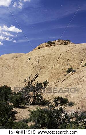 Whale Rock Canyonlands National Park Utah USA View Large Photo Image Stock Photo - Whale Rock Canyonlands National Park Utah USA. Fotosearch