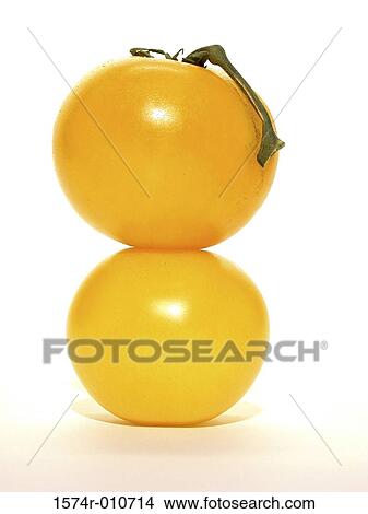 Yellow Tomatoes View Large Photo Image Picture - Yellow Tomatoes. Fotosearch