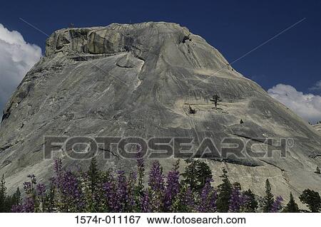 Yosemite National Park California USA View Large Photo Image Stock Photo - Yosemite National Park California USA. Fotosearch