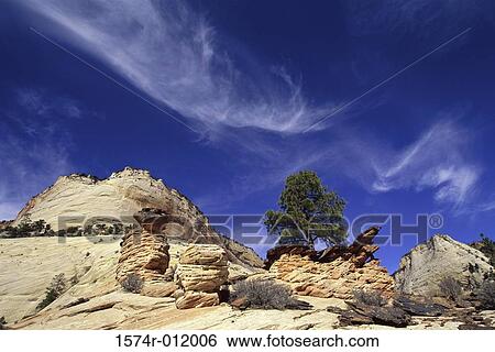 Zion National Park Utah USA View Large Photo Image Stock Photograph - Zion National Park Utah USA. Fotosearch