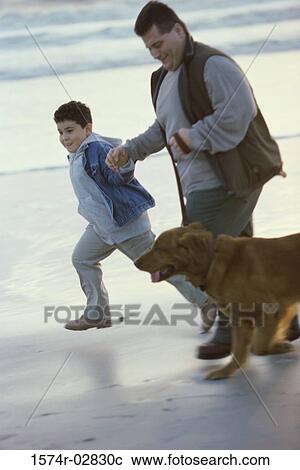 Father and his son running with their dog on the beach View Large Photo Image Stock Image - Father and his son running with their dog on the beach. Fotosearch