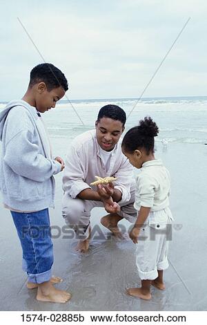 Father showing his son and daughter a starfish on the beach View Large Photo Image Stock Image - Father showing his son and daughter a starfish on the beach. Fotosearch