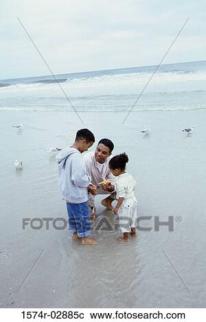 Father showing his son and daughter a starfish on the beach View Large Photo Image Stock Image - Father showing his son and daughter a starfish on the beach. Fotosearch