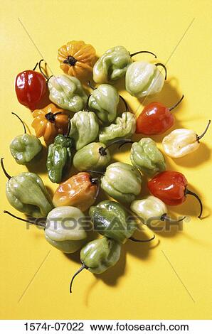 Habanero Peppers View Large Photo Image Stock Image - Habanero Peppers. Fotosearch