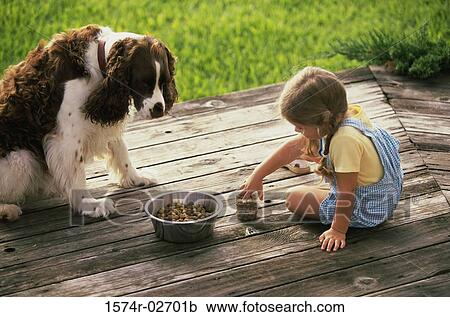 High angle view of a girl feeding her dog View Large Photo Image Stock Image - High angle view of a girl feeding her dog. Fotosearch