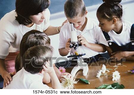 High angle view of children and their teacher looking into a microscope View Large Photo Image Stock Image - High angle view of children and their teacher looking into a microscope. Fotosearch