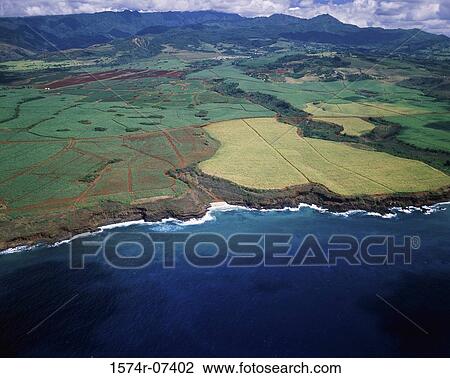 Stock Image - Kauai Hawaii USA. Fotosearch