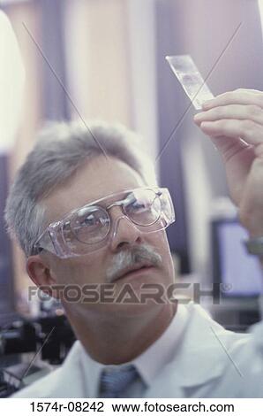 Male researcher holding a slide View Large Photo Image Stock Image - Male researcher holding a slide. Fotosearch