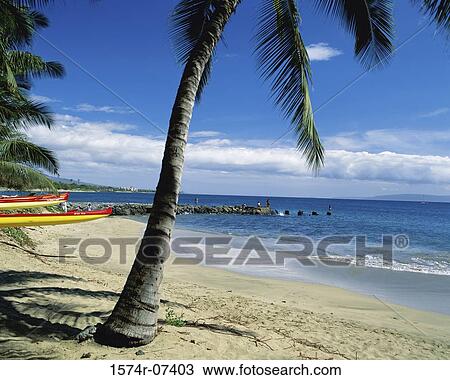Maui Hawaii USA View Large Photo Image Stock Image - Maui Hawaii USA. Fotosearch