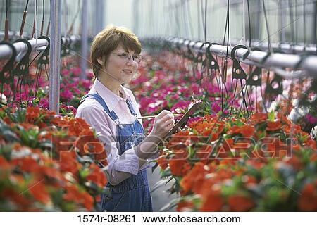 Mid adult woman writing on a clipboard in a greenhouse View Large Photo Image Stock Image - Mid adult woman writing on a clipboard in a greenhouse. Fotosearch