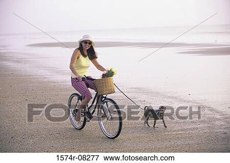 Portrait of a young woman riding a bicycle with her dog running alongside View Large Photo Image Stock Photo - Portrait of a young woman riding a bicycle with her dog running alongside. Fotosearch