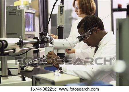 Stock Image - Researchers working in a laboratory. Fotosearch
