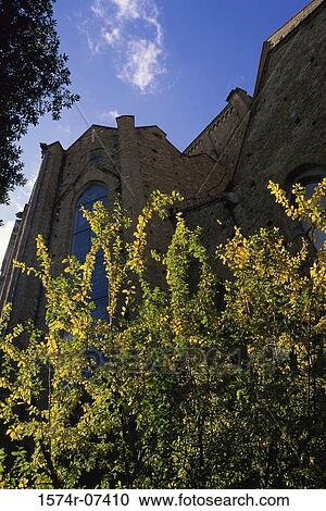 San Croce Florence Italy View Large Photo Image Stock Image - San Croce Florence Italy. Fotosearch