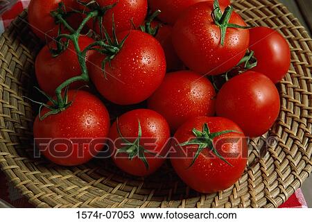 Tomatoes in a basket View Large Photo Image Stock Image - Tomatoes in a basket. Fotosearch