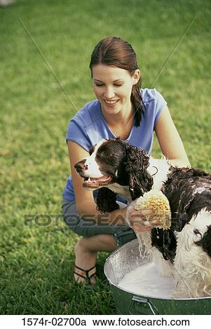 Young woman bathing her dog in a tub View Large Photo Image Stock Image - Young woman bathing her dog in a tub. Fotosearch