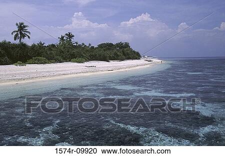 Bohol Philippines View Large Photo Image Stock Image - Bohol Philippines. Fotosearch