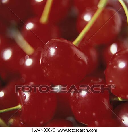 Cherries View Large Photo Image Stock Photograph - Cherries. Fotosearch