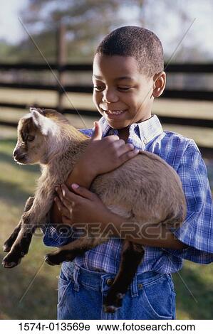 Close-up of a boy holding a lamb View Large Photo Image Stock Image - Close-up of a boy holding a lamb. Fotosearch