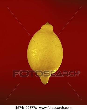 Stock Image - Close-up of a lemon. Fotosearch