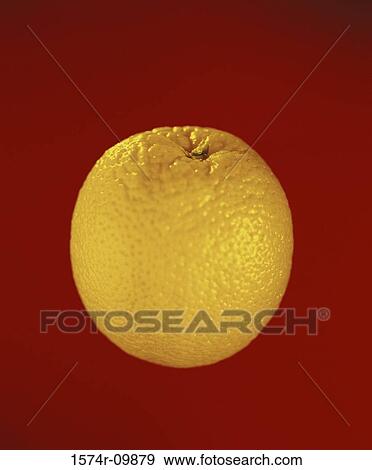 Close-up of an orange View Large Photo Image Stock Photo - Close-up of an orange. Fotosearch