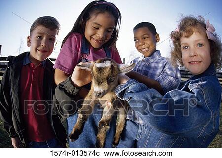 Close-up of four children playing with a lamb View Large Photo Image Stock Image - Close-up of four children playing with a lamb. Fotosearch