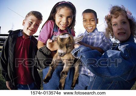 Close-up of four children playing with a lamb View Large Photo Image Stock Image - Close-up of four children playing with a lamb. Fotosearch