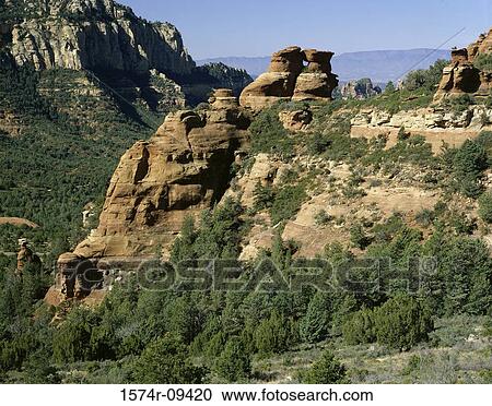 Coconino National Forest Arizona USA View Large Photo Image Stock Image - Coconino National Forest Arizona USA. Fotosearch