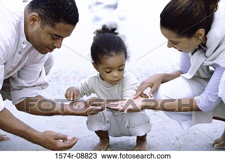 Stock Image - Father and mother looking for seashells with their daughter. Fotosearch