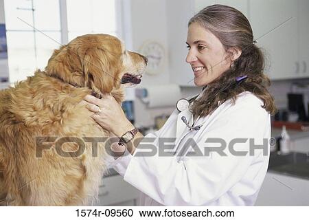 Female veterinarian with a dog View Large Photo Image Stock Image - Female veterinarian with a dog. Fotosearch