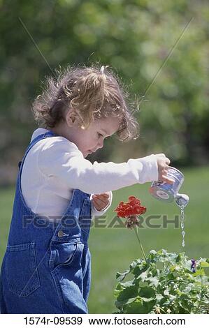 Girl watering plants with a watering can View Large Photo Image Stock Photo - Girl watering plants with a watering can. Fotosearch