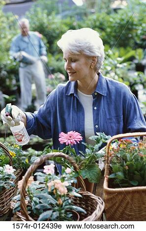 Stock Image - High angle view of a senior woman spraying flowers. Fotosearch
