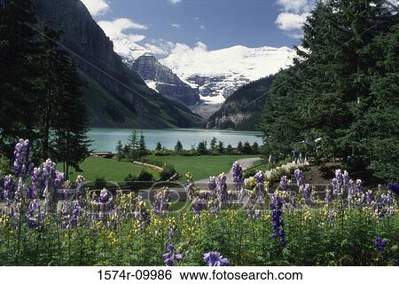 Lake Louise Banff National Park Alberta Canada View Large Photo Image Stock Photograph - Lake Louise Banff National Park Alberta Canada. Fotosearch