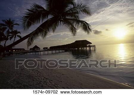 Maldives View Large Photo Image Stock Image - Maldives. Fotosearch