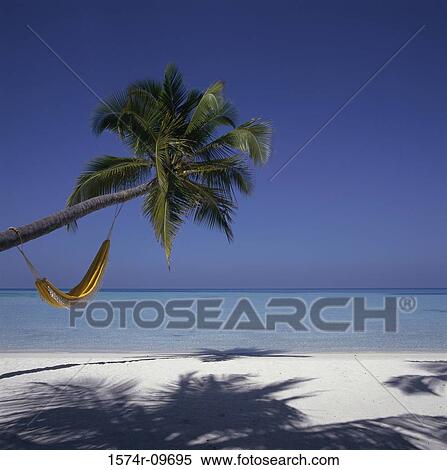 Maldives View Large Photo Image Stock Photography - Maldives. Fotosearch