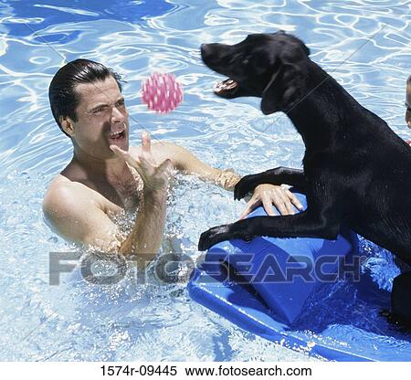 Stock Photography - Man playing with a dog in a swimming pool. Fotosearch