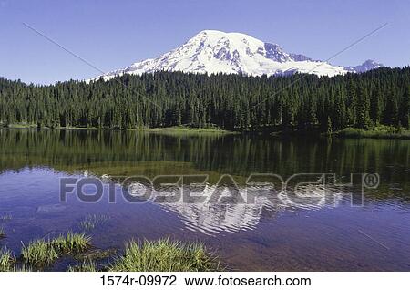 Mount Rainier Washington USA View Large Photo Image Stock Image - Mount Rainier Washington USA. Fotosearch