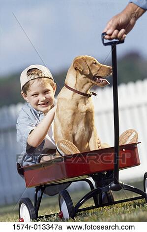 Portrait of a boy sitting in a wagon with his dog View Large Photo Image Stock Image - Portrait of a boy sitting in a wagon with his dog. Fotosearch