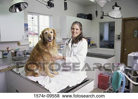 Portrait of a female veterinarian with a dog View Large Photo Image Stock Photo - Portrait of a female veterinarian with a dog. Fotosearch