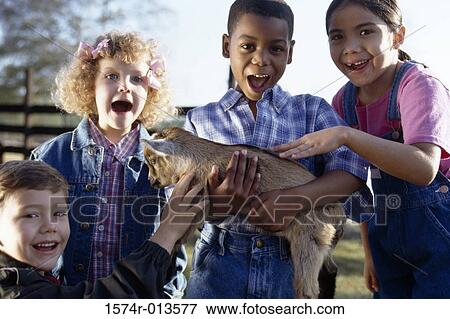 Portrait of two boys and two girls with a kid goat View Large Photo Image Stock Photo - Portrait of two boys and two girls with a kid goat. Fotosearch