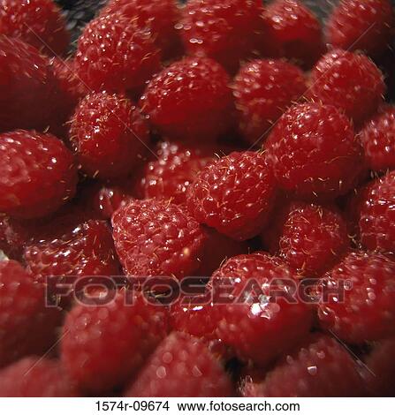Raspberries View Large Photo Image Picture - Raspberries. Fotosearch